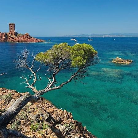 Appartement Frejus Avec Jardin, Piscine, Plage, Tennis Bagian luar foto